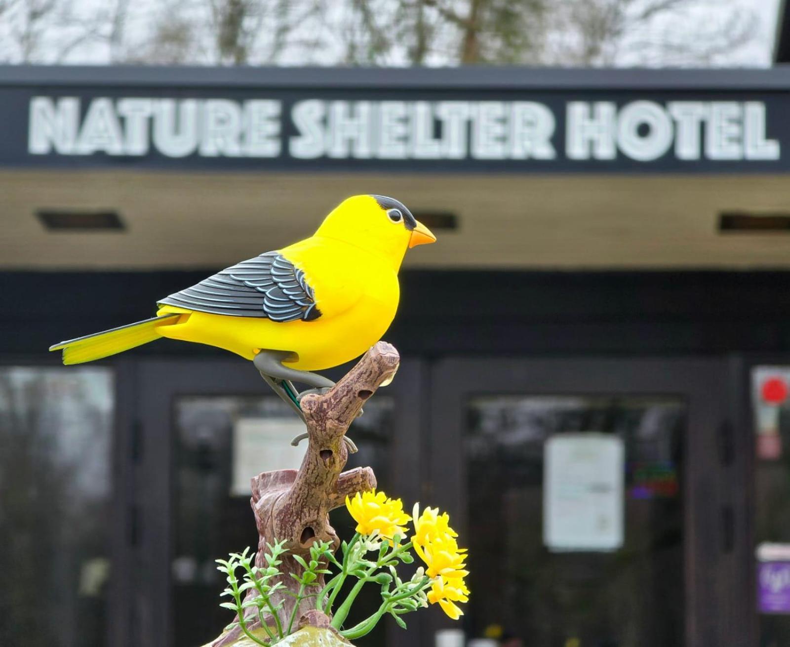 Nature Shelter Hotel Asljunga Exterior photo